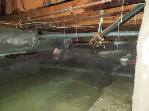  Marysville, MI Water damage restoration Pros