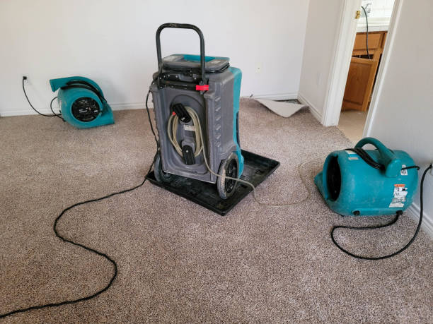 Best Residential water damage restoration  in Marysville, MI