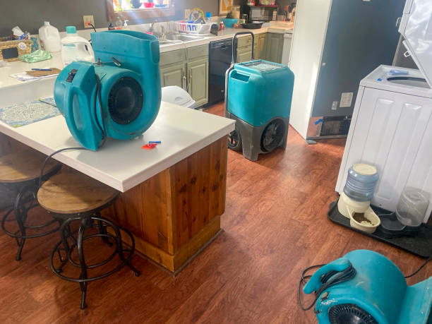 Best Water damage cleanup near me  in Marysville, MI