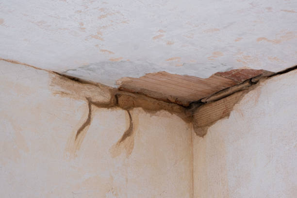 Best Water damage restoration near me  in Marysville, MI