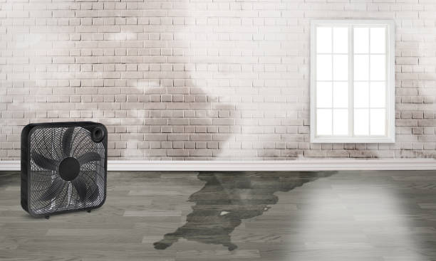 Water damage restoration experts in Marysville, MI