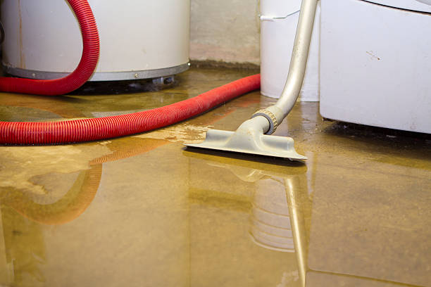 Best Water damage contractors near me  in Marysville, MI