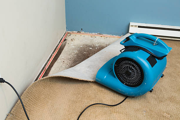 Best Ceiling water damage repair  in Marysville, MI